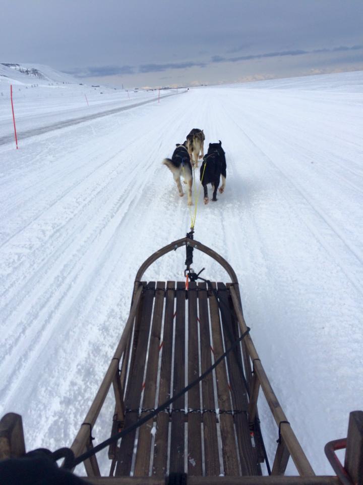 Malin Persson  Svalbard 2015