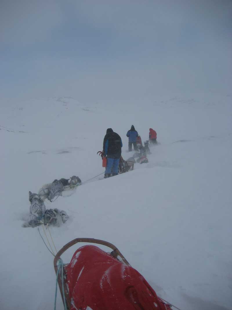 Tom Frode Johansen. En plass på Nordkalotten